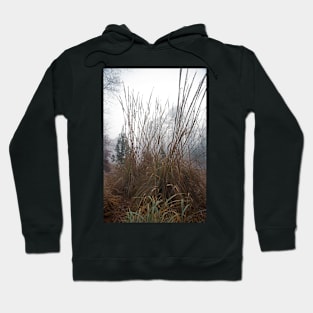 Grass Against the Sky Hoodie